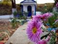 Amphipolis ZAKWATEROWANIE Mansion KARANIKOLA, PENSJONAT Amphipolis, Serres